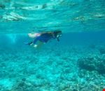 snorkeling a Gangga snorkeling a Gangga